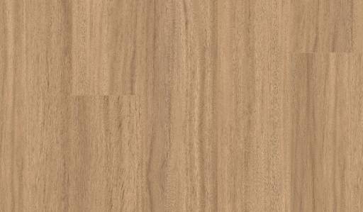 3306 Hazel maple-512x299.jpg
